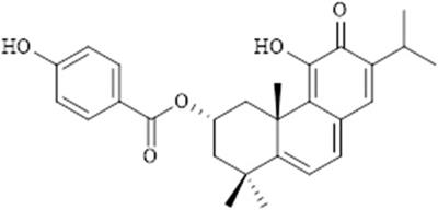 Parvifloron D-based potential therapy for glioblastoma: Inducing apoptosis via the mitochondria dependent pathway